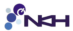 NKH Solution Logo